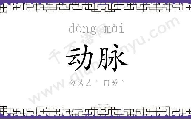 动脉
