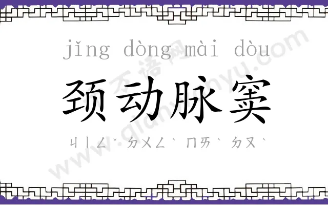 颈动脉窦