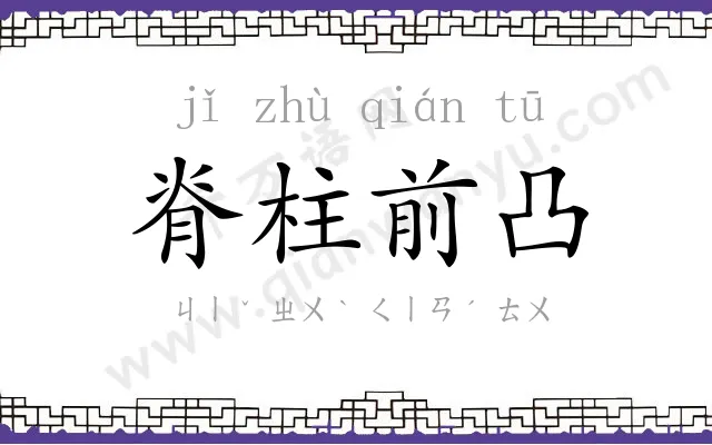 脊柱前凸