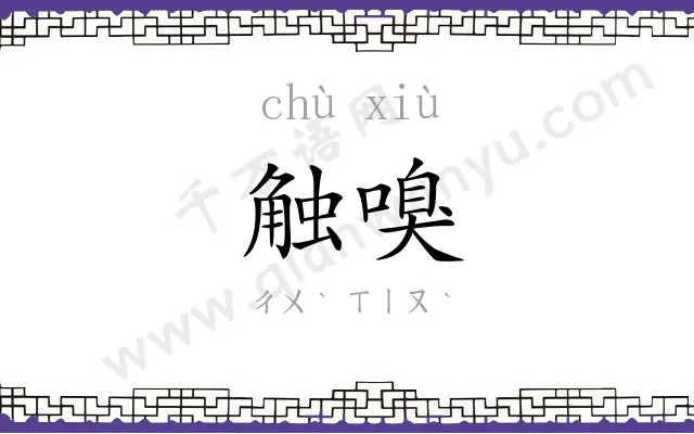 触嗅