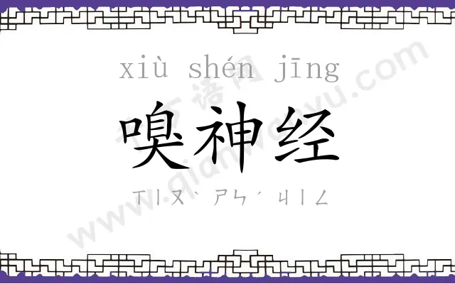 嗅神经