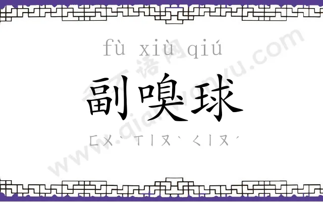 副嗅球