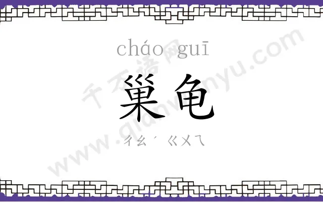 巢龟