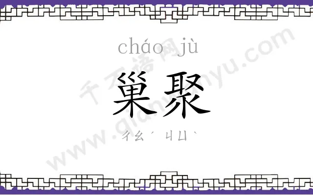 巢聚