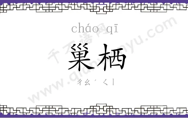巢栖
