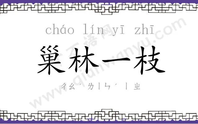 巢林一枝