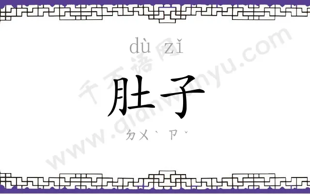 肚子