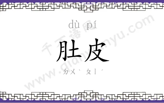 肚皮