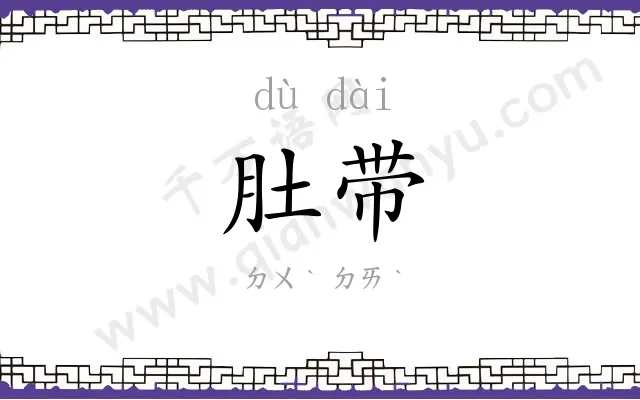 肚带