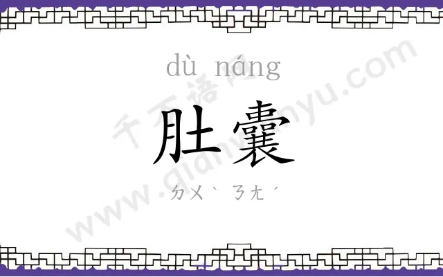 肚囊