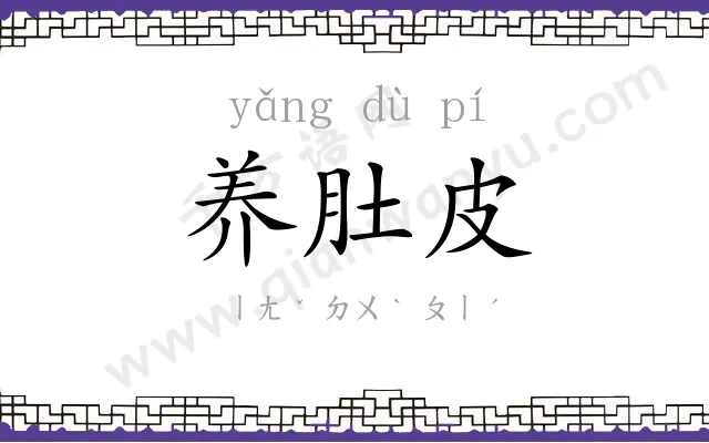 养肚皮