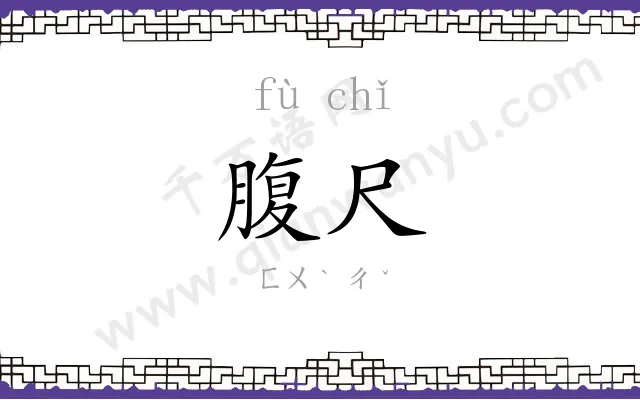 腹尺