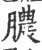 膿(宋·印刷字体·广韵)