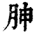 胂(清·印刷字体·康熙字典)