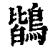 鶛(清·印刷字体·康熙字典)