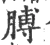 膊(宋·印刷字体·广韵)