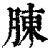 腖(清·印刷字体·康熙字典)