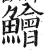 鲙(明·印刷字体·洪武正韵)