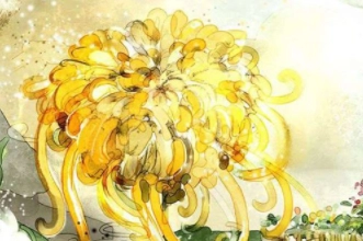 1579764869169806.png image.png