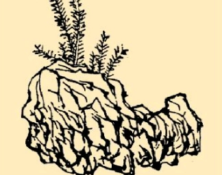 1667800237845618.png image.png