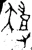 𧽊(西周·金文·西周中期)