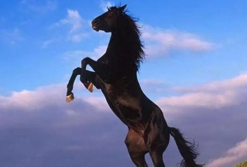 1675654063968805.png image.png