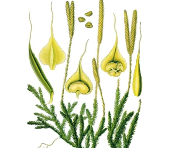 1667800232482687.png image.png