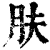 肤(清·印刷字体·康熙字典)
