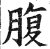 腹(明·印刷字体·洪武正韵)