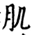 肌(宋·印刷字体·增韵)