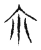尔(宋·传抄·集古文韵上声韵第三)